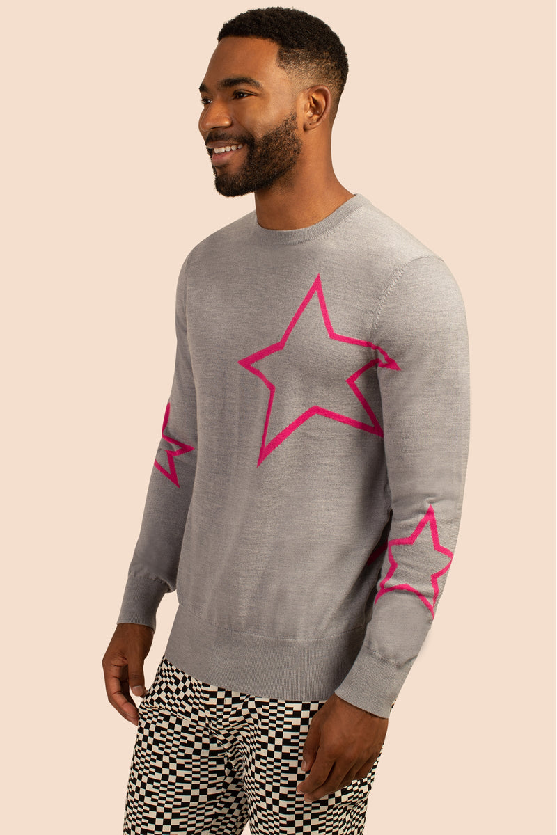 COSMOS CREWNECK SWEATER in HEATHER GREY additional image 2