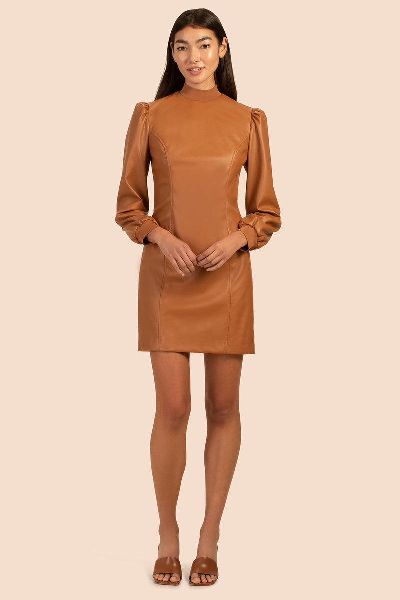 WRIGLEY DRESS in NUTMEG BROWN additional image 6