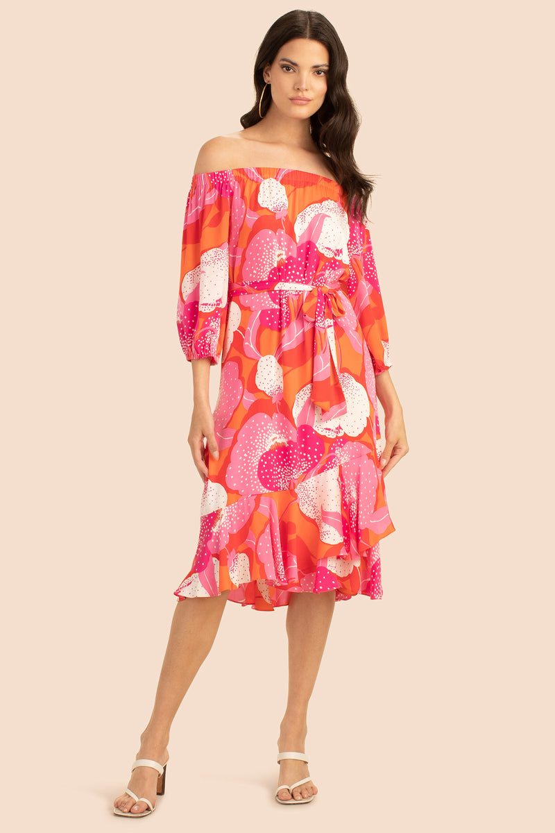 MARILLA DRESS in MULTI additional image 2