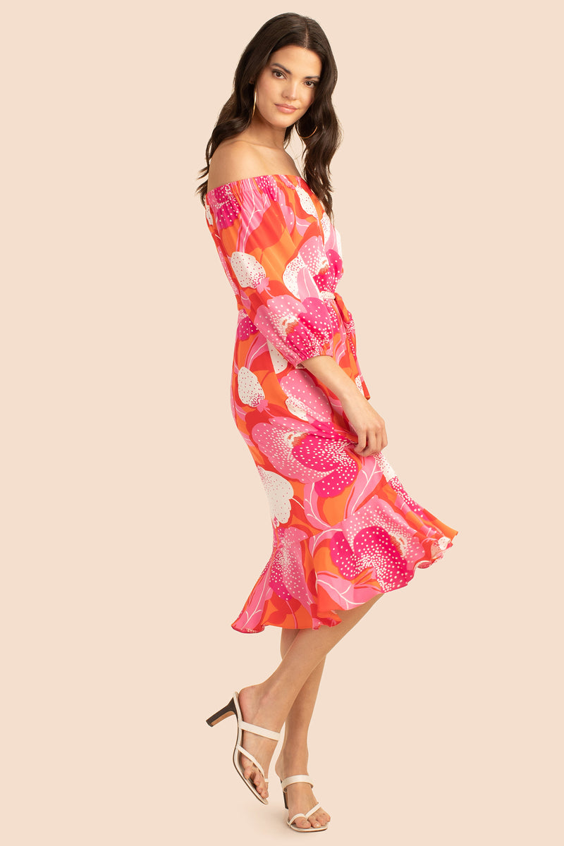 MARILLA DRESS in MULTI additional image 3