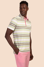 DALLAS POLO in MULTI additional image 2