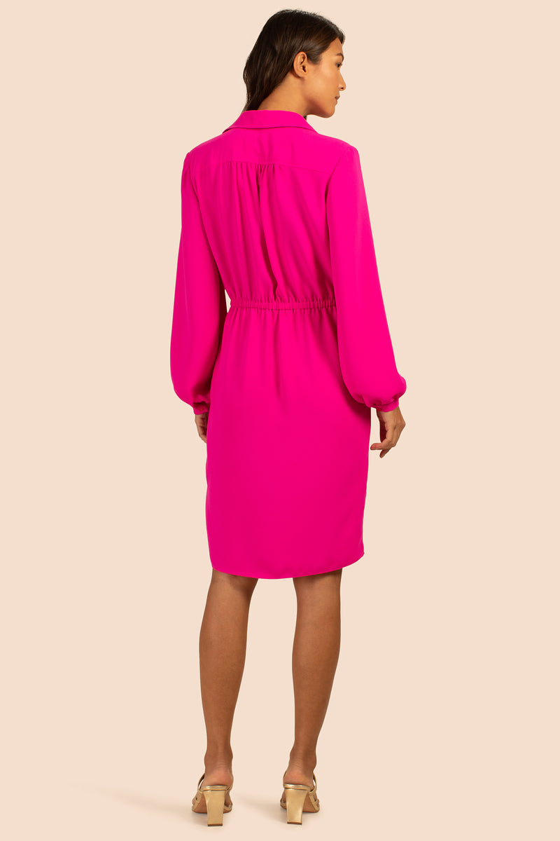 EL MIRADOR DRESS in P.S. PINK additional image 1