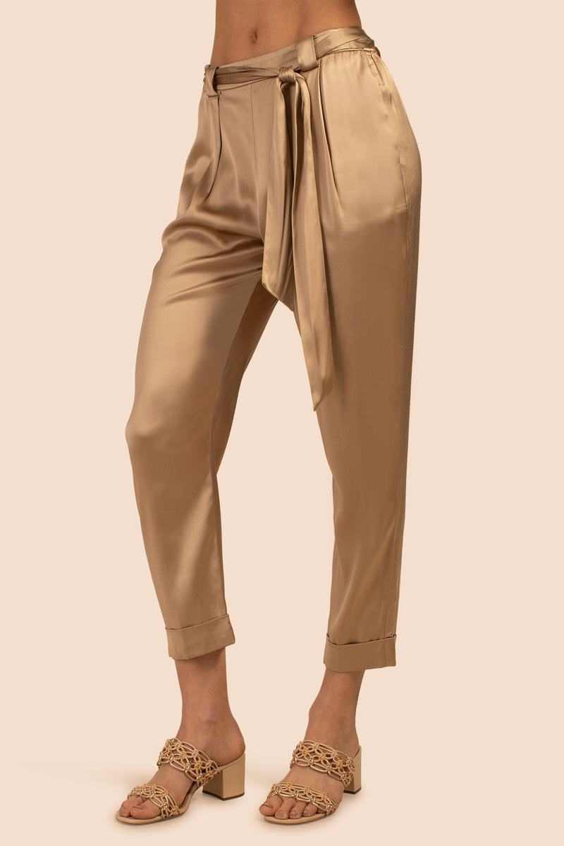 HARDY PANT in DESERT BROWN additional image 2