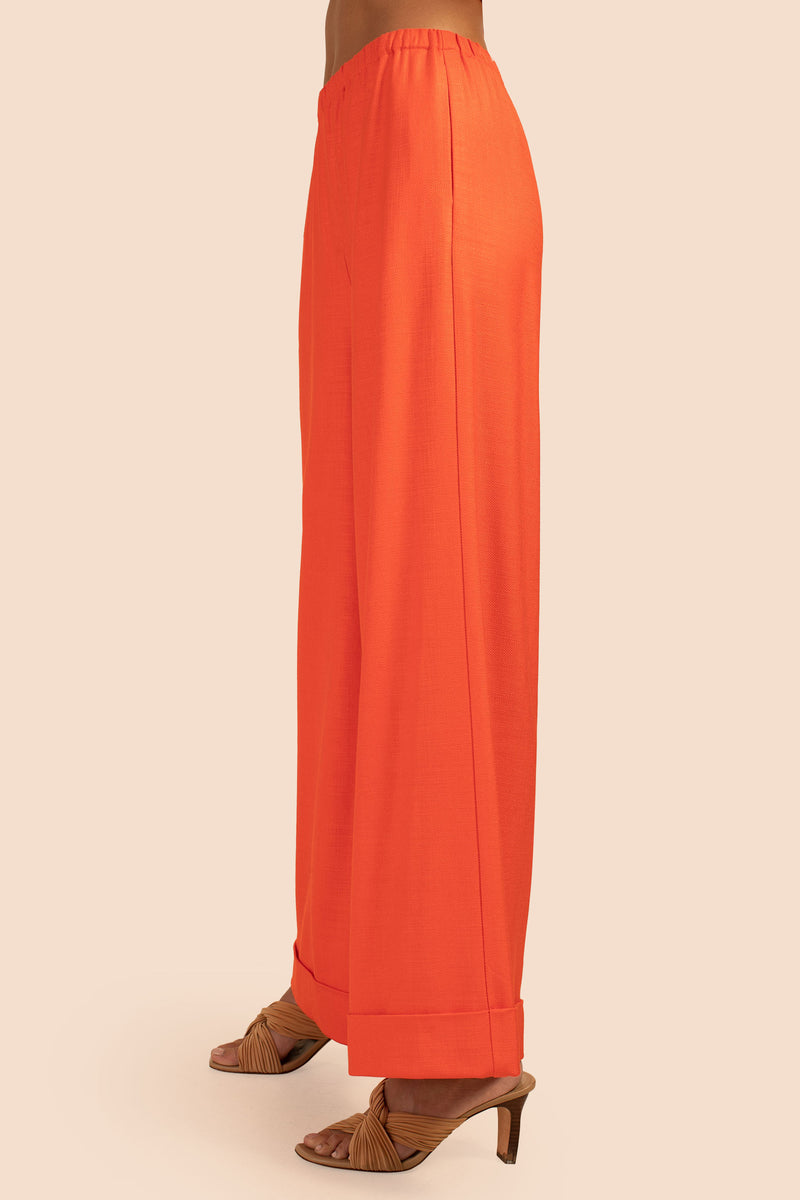 ANZUELO PANT in TORCH additional image 3