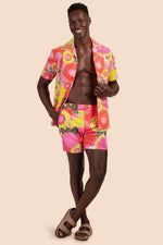 HONOLULU BOARD SHORT in MULTI additional image 2