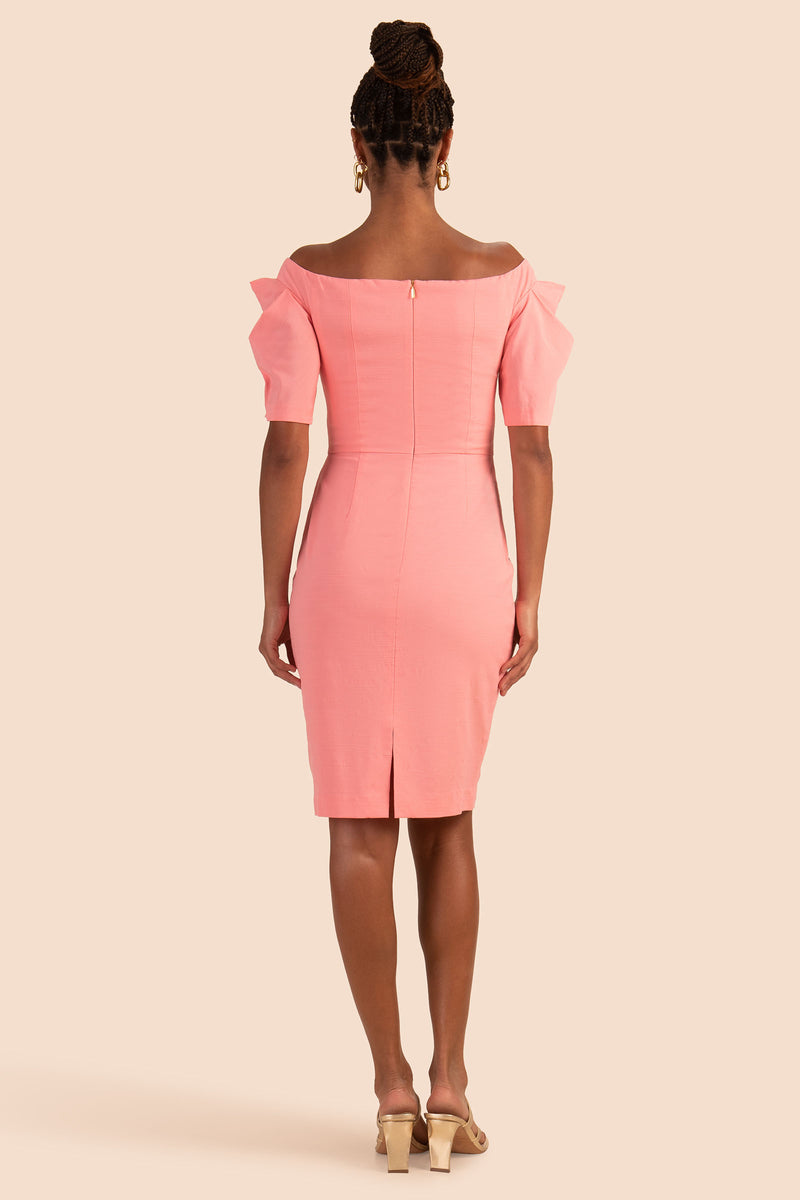 WITTY DRESS in FLAMINGO PINK additional image 5