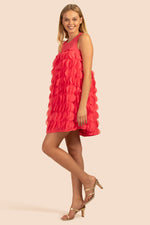 DIANA DRESS in WATERMELON RED additional image 6