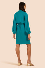 REVELRY DRESS in REVELRY DRESS additional image 2