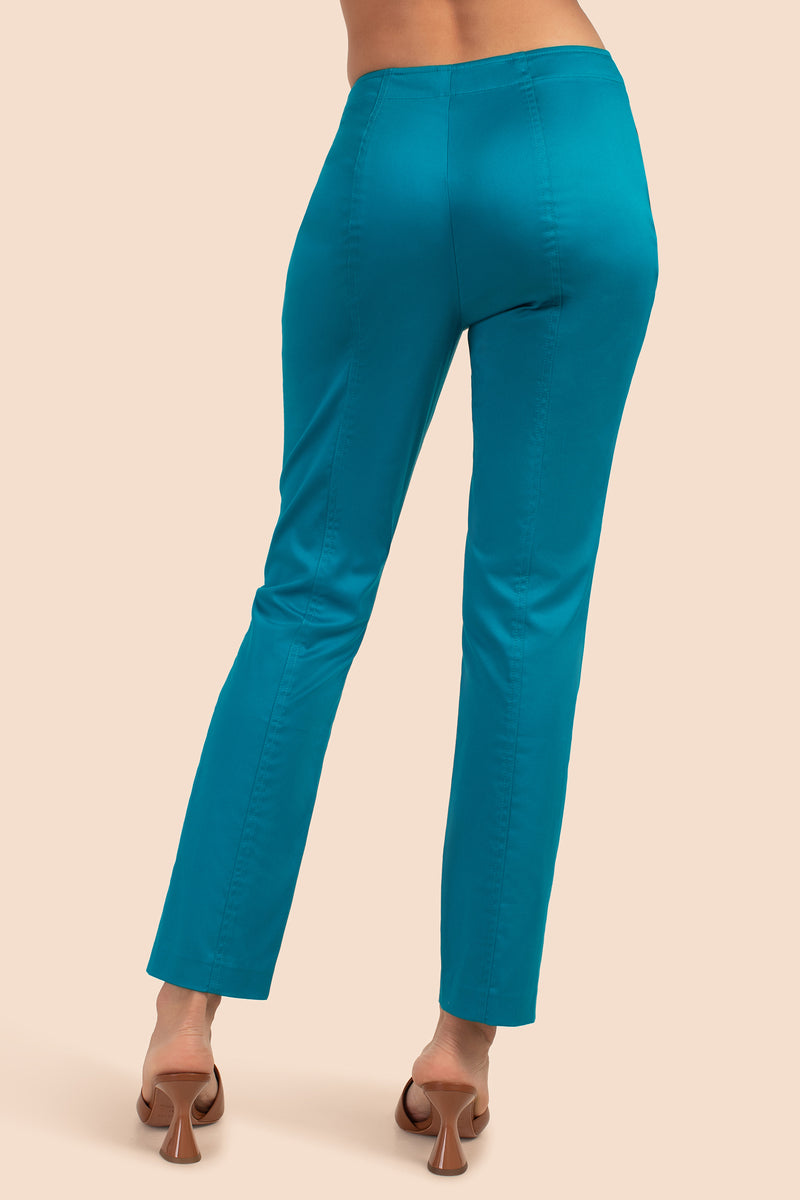 TEMPERATE PANT in MOSAIC BLUE additional image 1