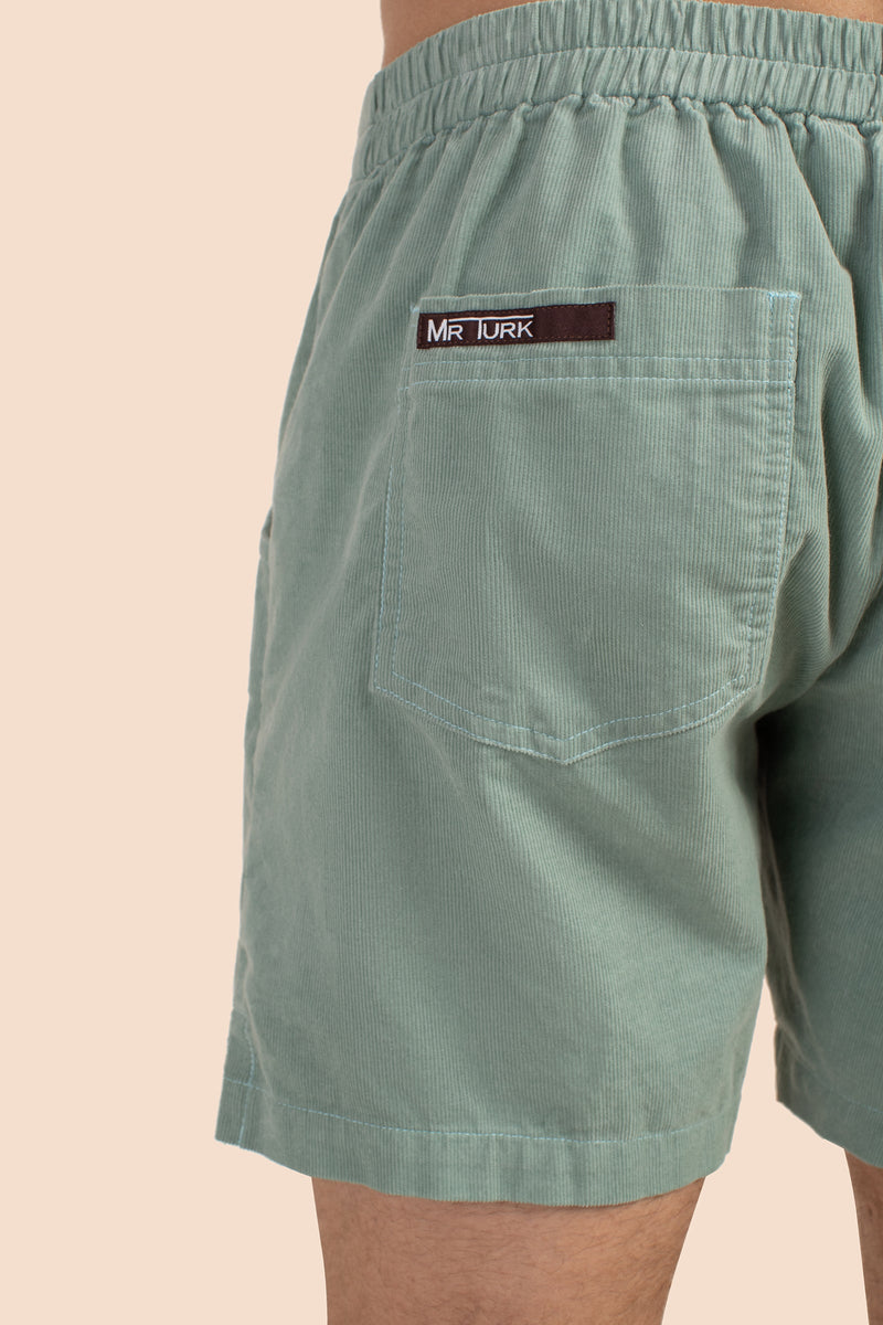OXNARD SHORT in SEAFOAM GREEN additional image 4