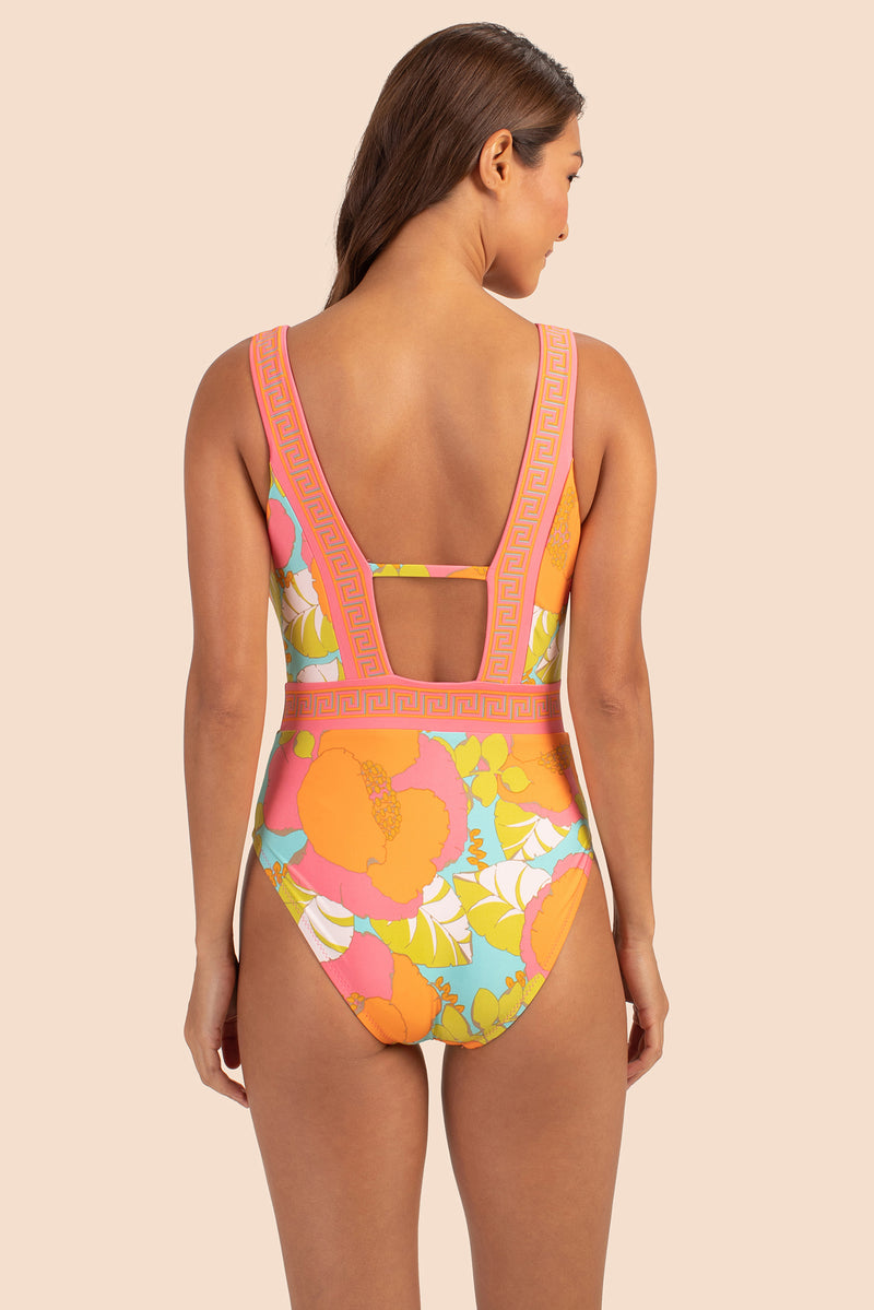 PLAYA DE FLOR PLUNGE MAILLOT in MULTI additional image 1