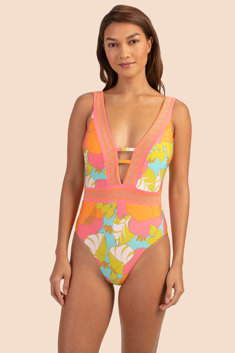 PLAYA DE FLOR PLUNGE MAILLOT in MULTI