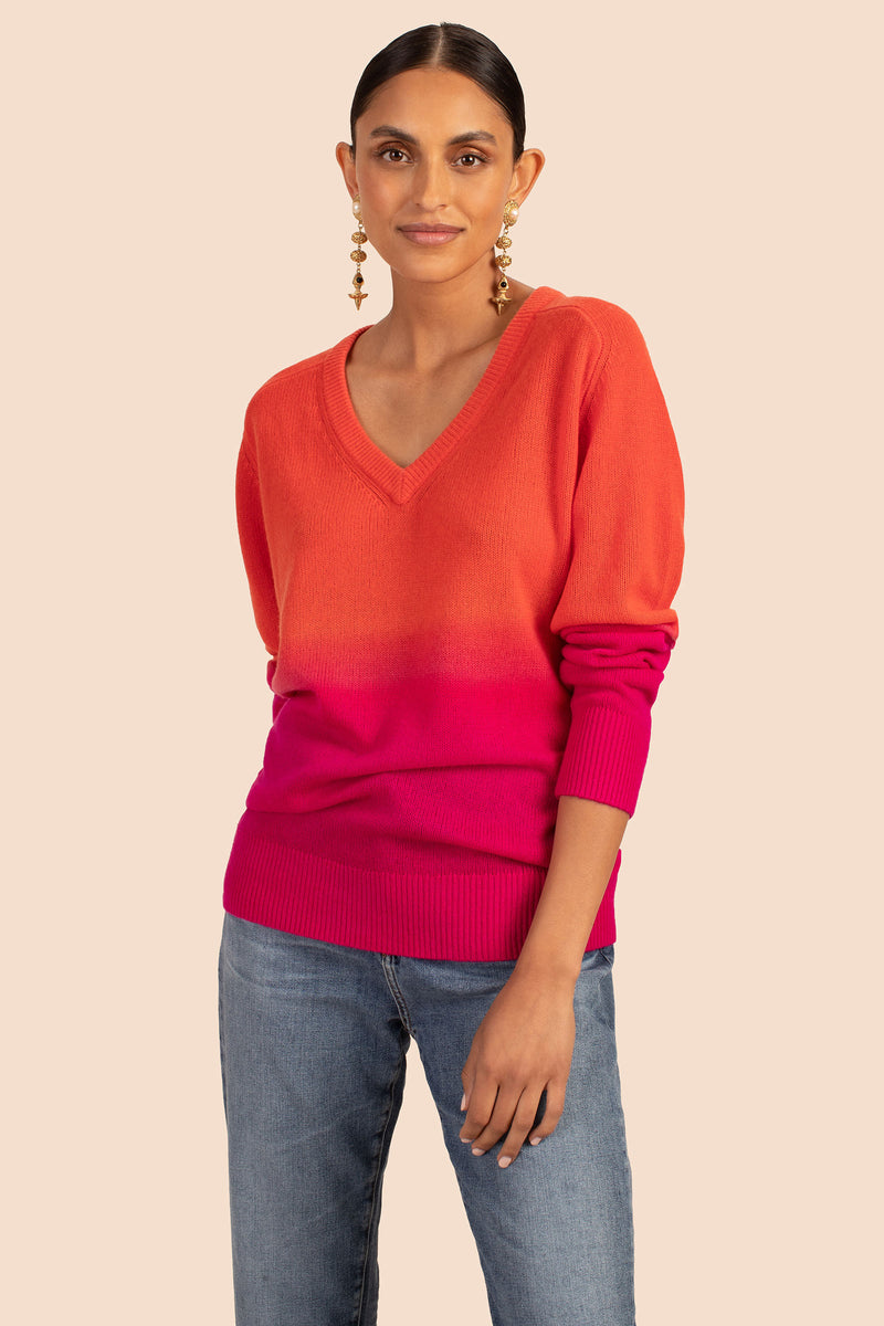 EVANGELINE V-NECK SWEATER in MULTI