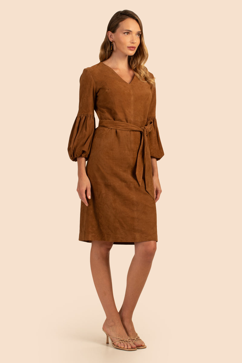 PRIYA DRESS in COGNAC BROWN additional image 2