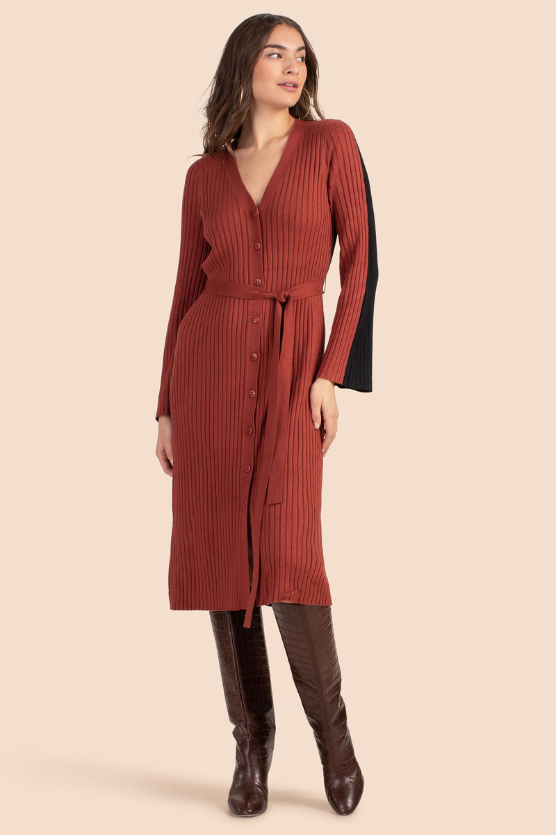 MERCER SWEATER DRESS in CINNAMON/BLACK