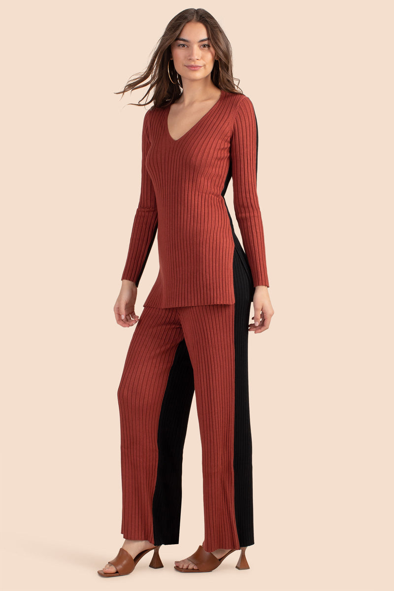 ZOEY V-NECK PULLOVER in CINNAMON/BLACK additional image 2