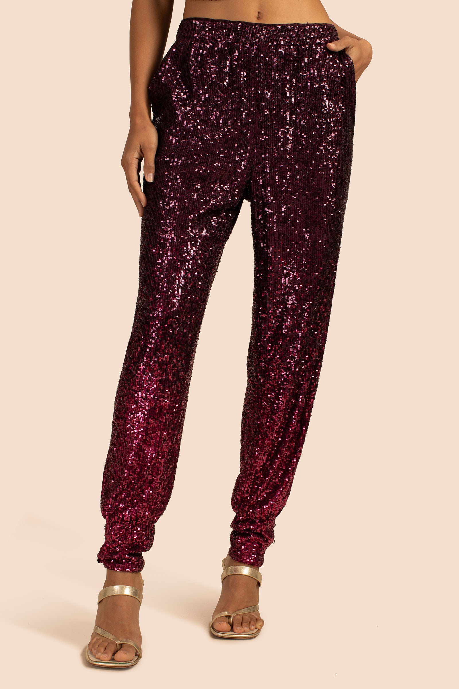 FESTIVE FUCHSIA/PLUM
