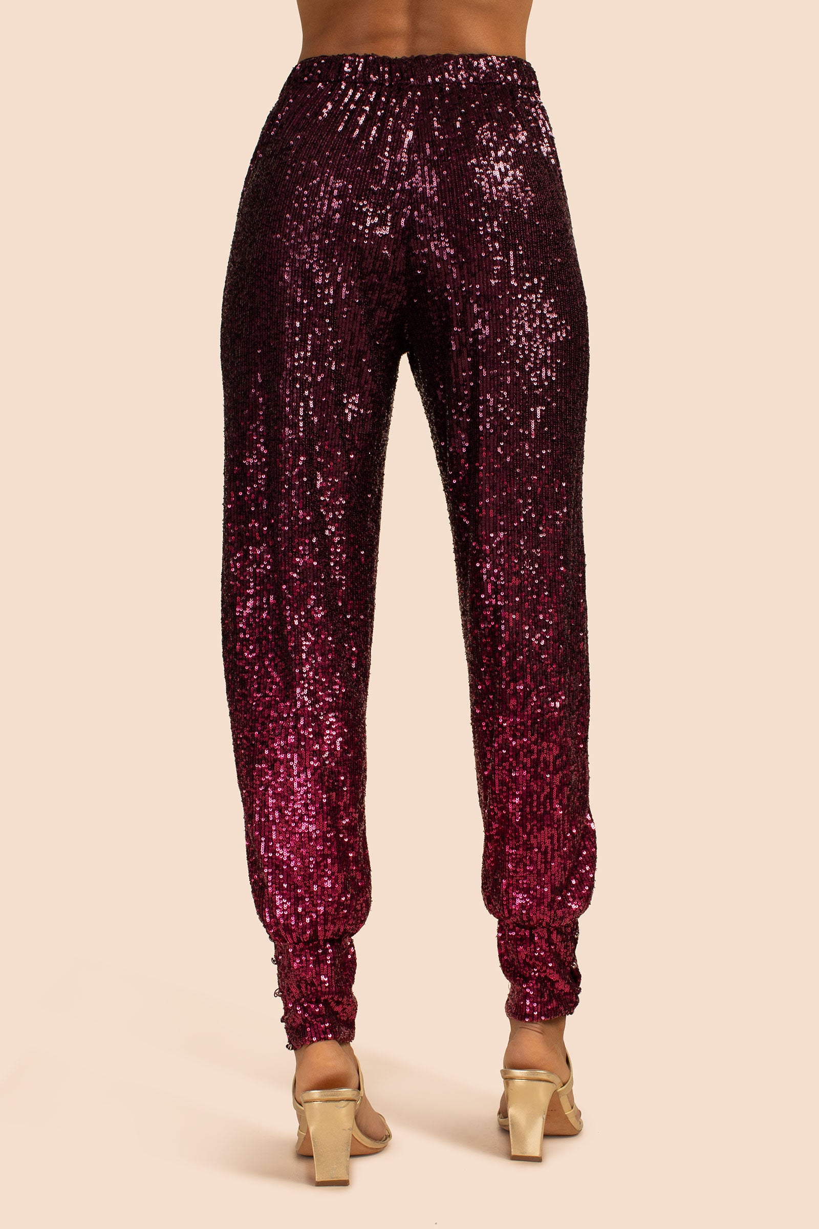 FESTIVE FUCHSIA/PLUM