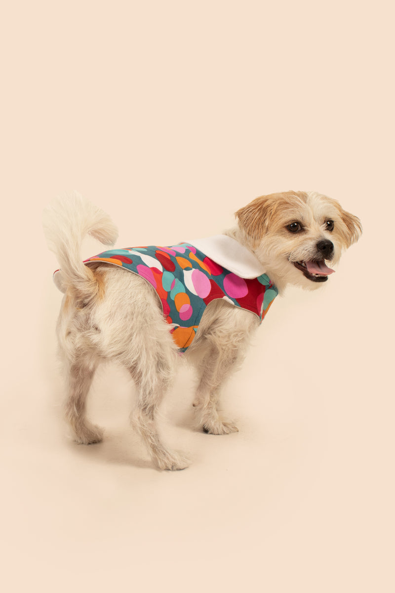 BUBBLE DOTS FRENCH TERRY PET PJ in MULTI additional image 3