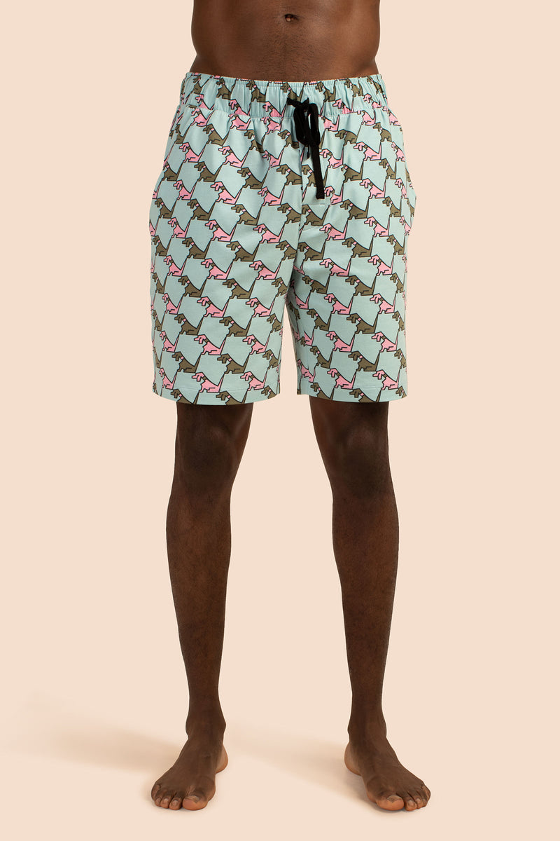 HOUNDS MEN'S HENLEY BOXER SET in MULTI additional image 4