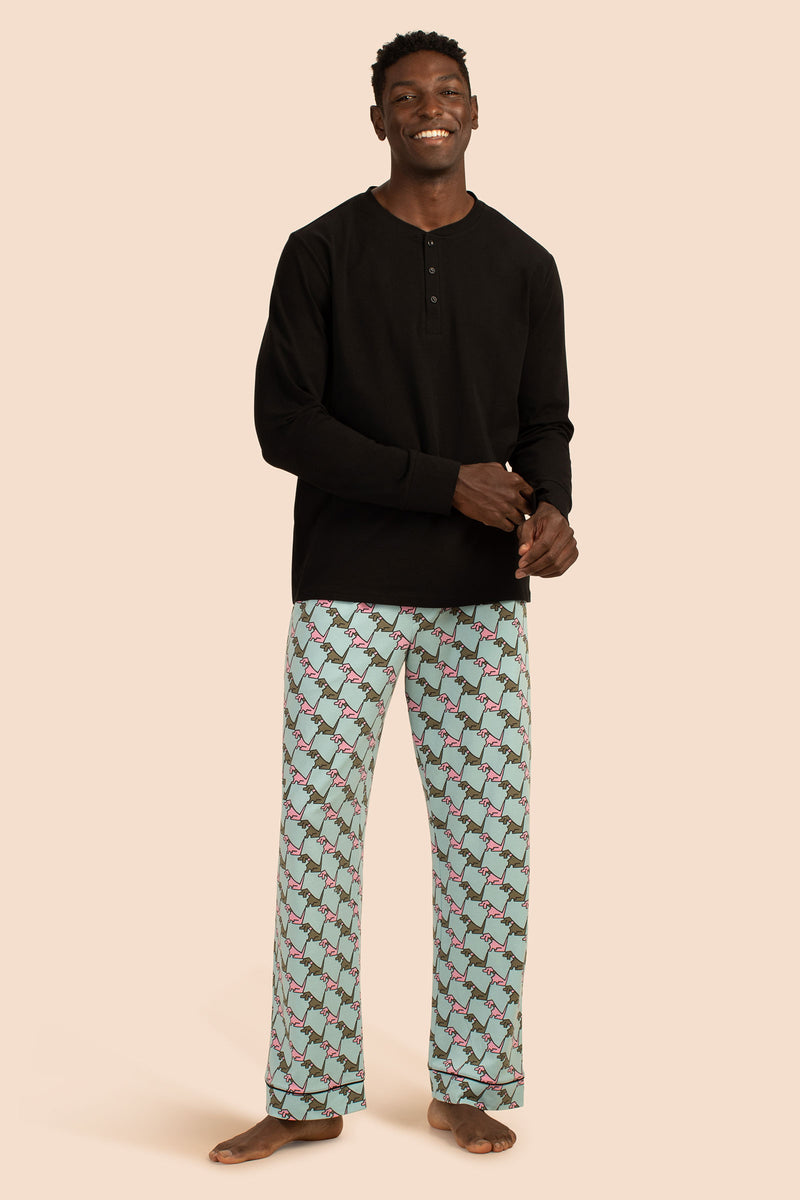 HOUNDS MEN'S LONG SLEEVE HENLEY LONG PANT PJ SET in MULTI