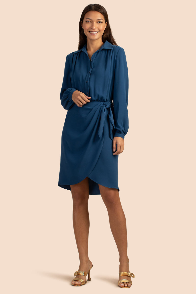 EL MIRADOR DRESS in DENIM BLUE additional image 5
