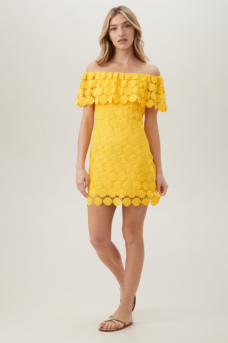 BARDOT DRESS in DAISY additional image 11