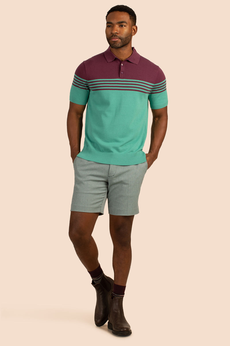 FREEPORT SHORT SLEEVE POLO in MULTI additional image 4