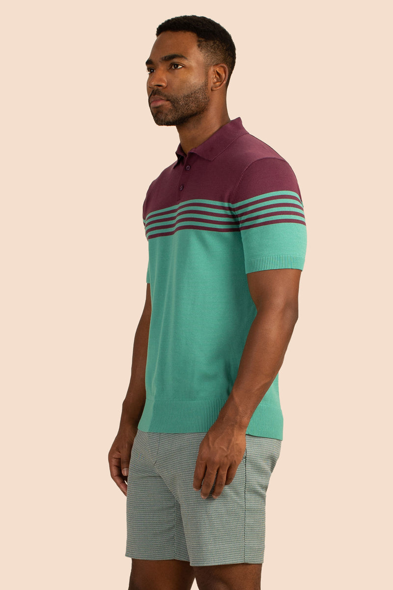 FREEPORT SHORT SLEEVE POLO in MULTI additional image 2