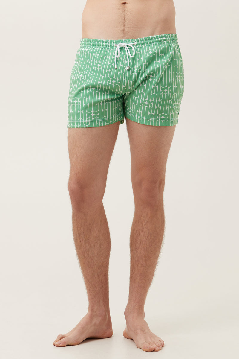 OCEANSIDE SWIM TRUNK in VERT