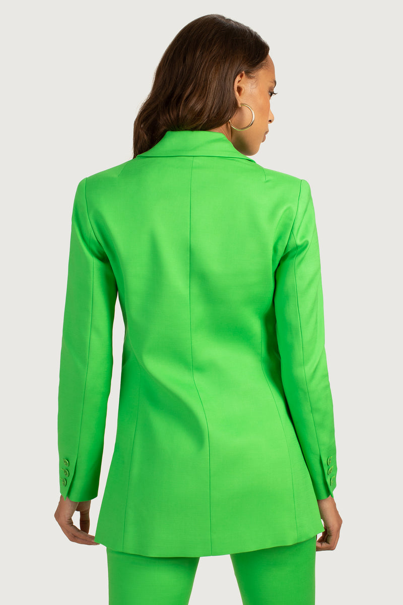 SUNVIEW BLAZER in VERT additional image 1