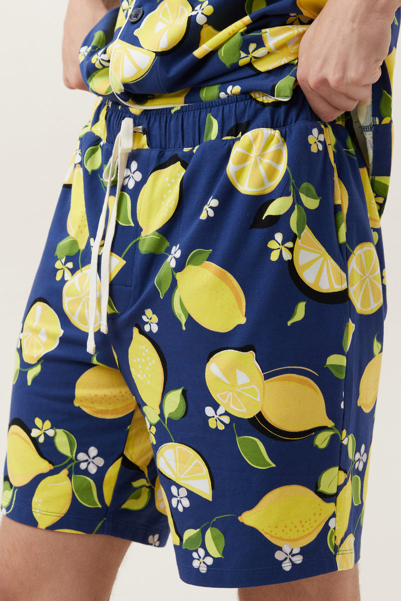 LEMONS MEN'S JERSEY SHORT SLEEVE PJ SET in MULTI additional image 5