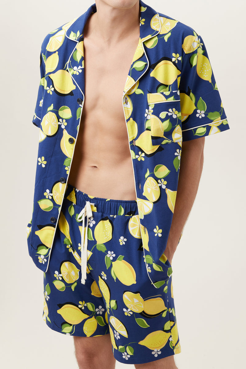 LEMONS MEN'S JERSEY SHORT SLEEVE PJ SET in MULTI additional image 3