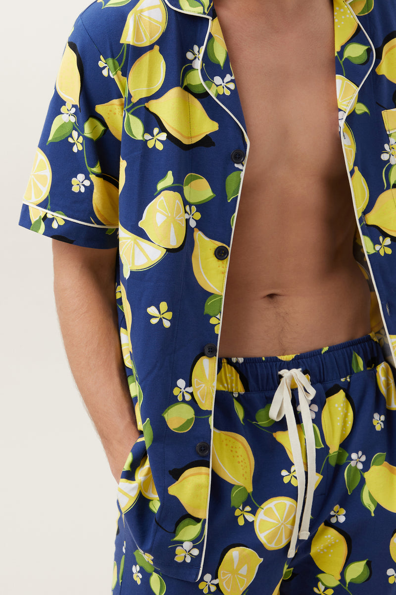 LEMONS MEN'S JERSEY SHORT SLEEVE PJ SET in MULTI additional image 6