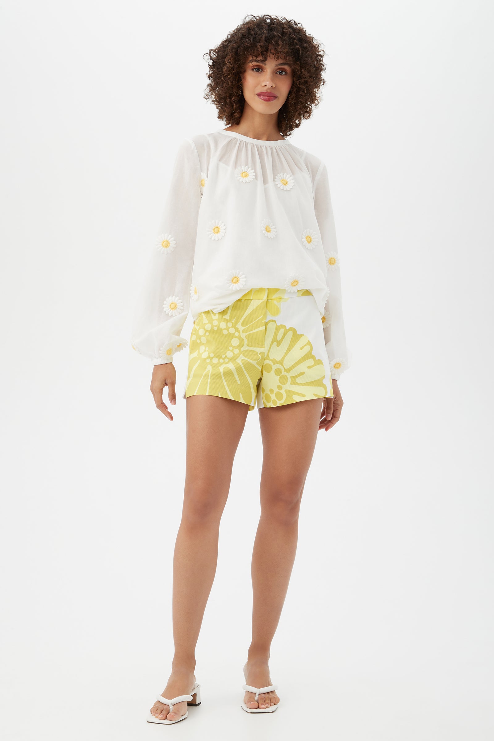DAISY/WHITEWASH