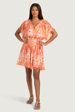 BYRDS DRESS in SLUSHIE MULTI additional image 1