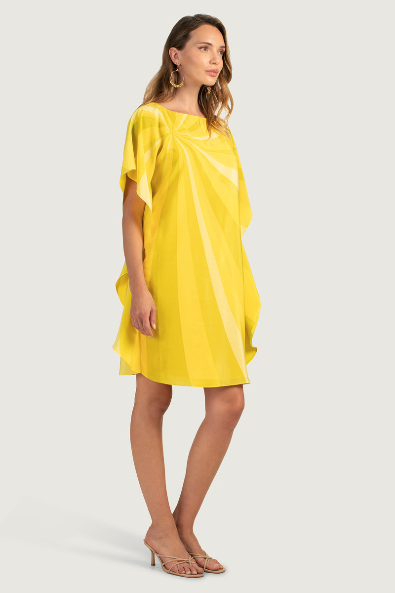 GLOBAL DRESS in DAISY/WHITEWASH additional image 6