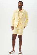 THURSTON BLAZER in DAISY/WHITEWASH additional image 4