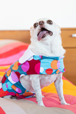 BUBBLE DOTS FRENCH TERRY PET PAJAMA JACKET in MULTI additional image 2