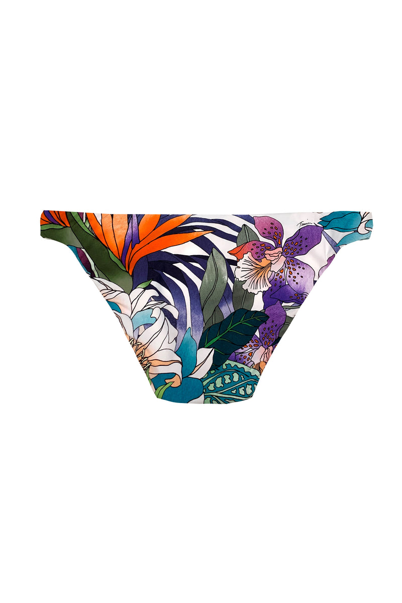 AMAZONIA CALIFORNIA HIPSTER SWIM BOTTOM in AMAZONIA CALIFORNIA HIPSTER SWIM BOTTOM additional image 3